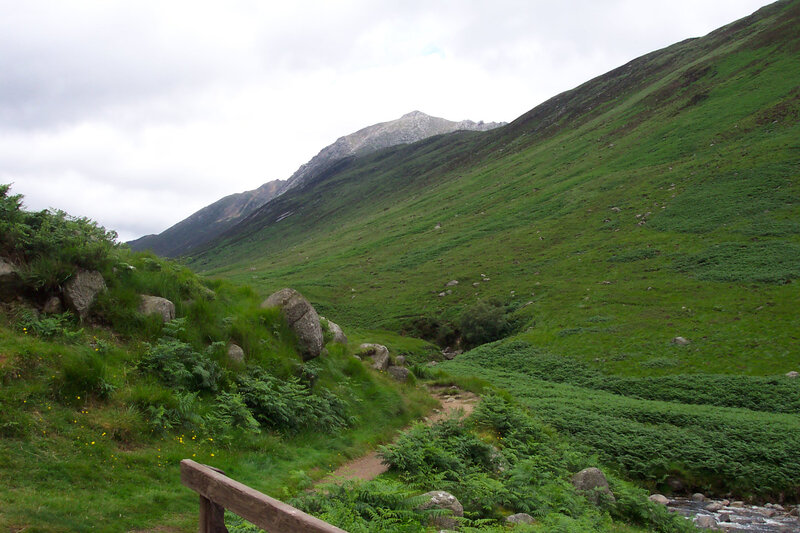 Green valley with mountain view