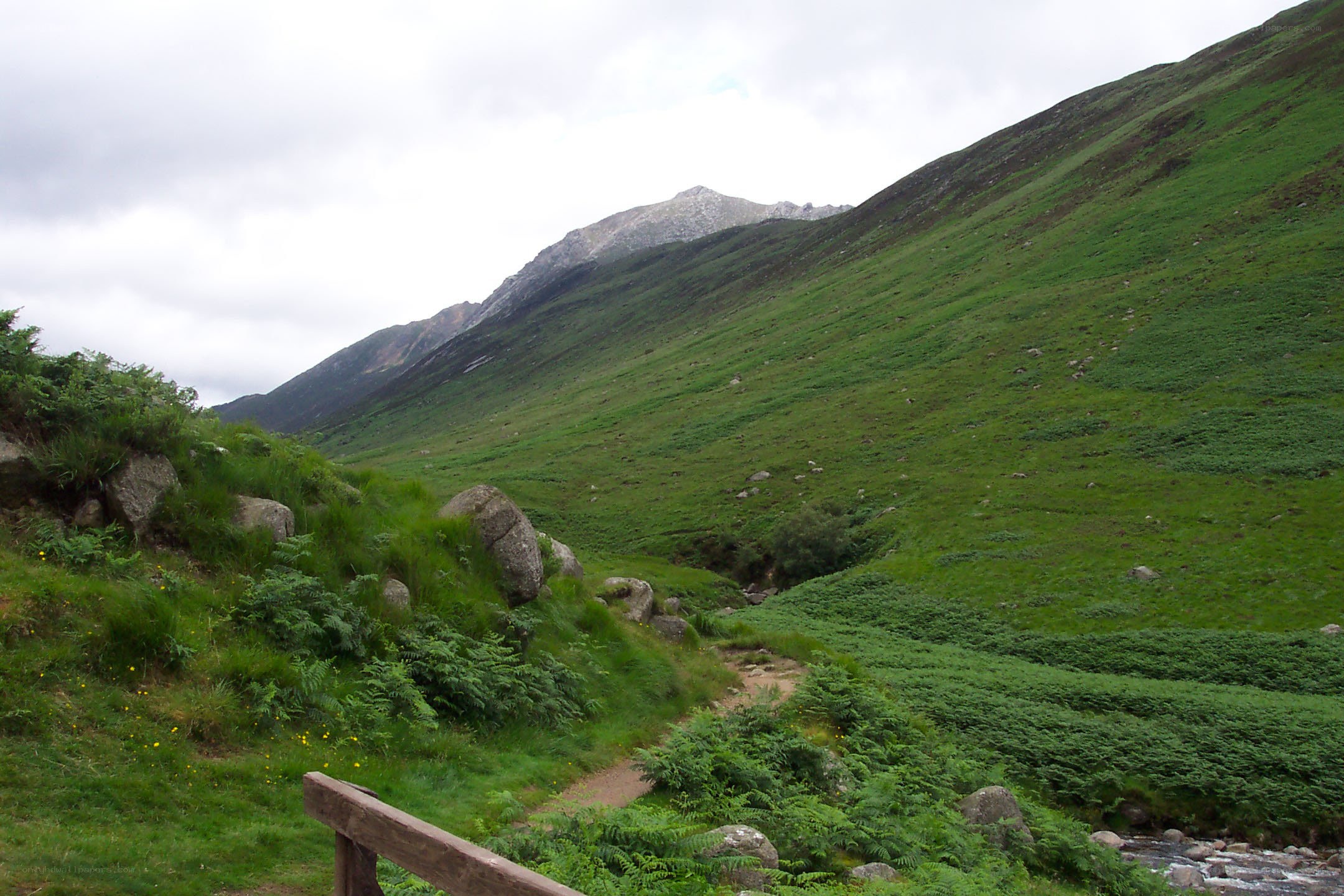 Green valley with mountain view