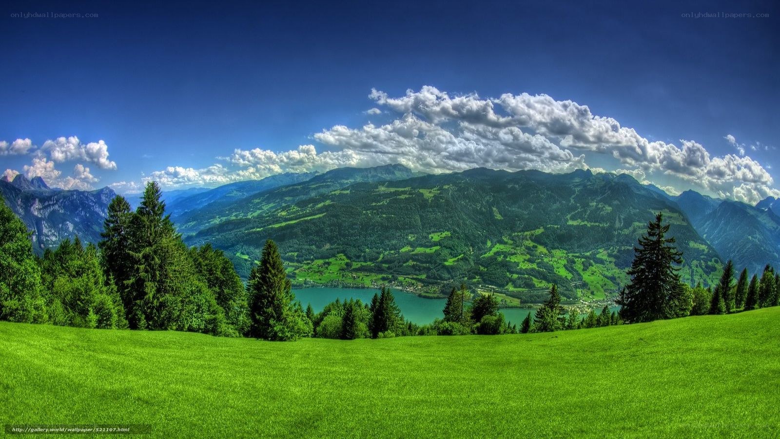Green valley with mountains