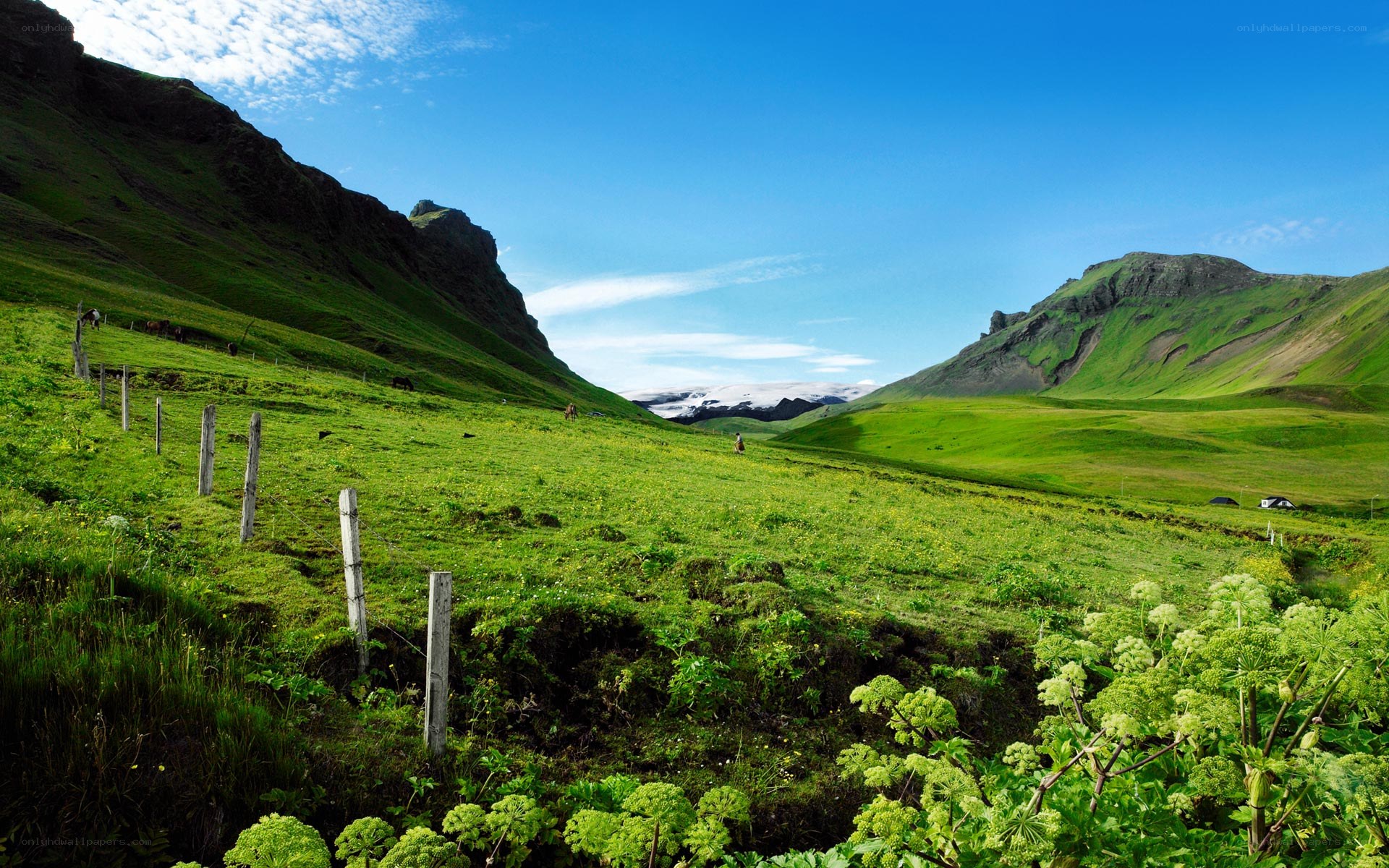 Green valley with mountains