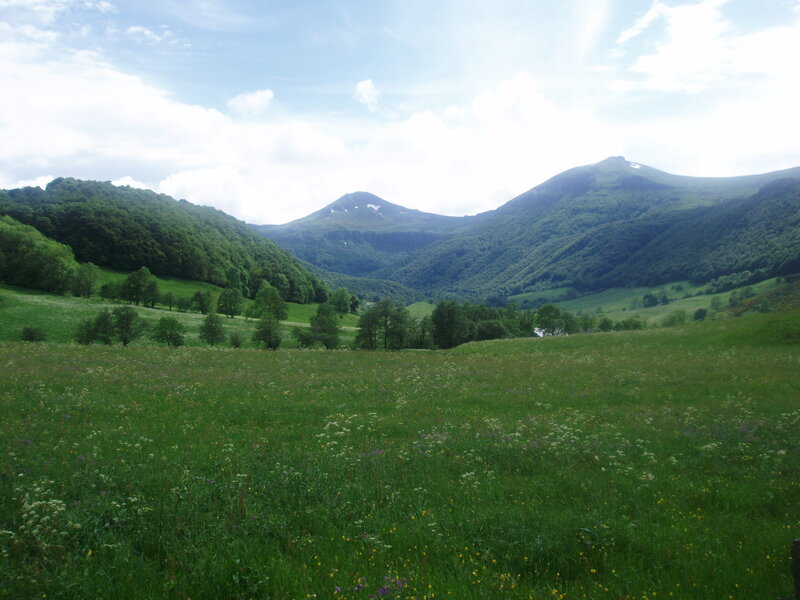 Green valley with mountains