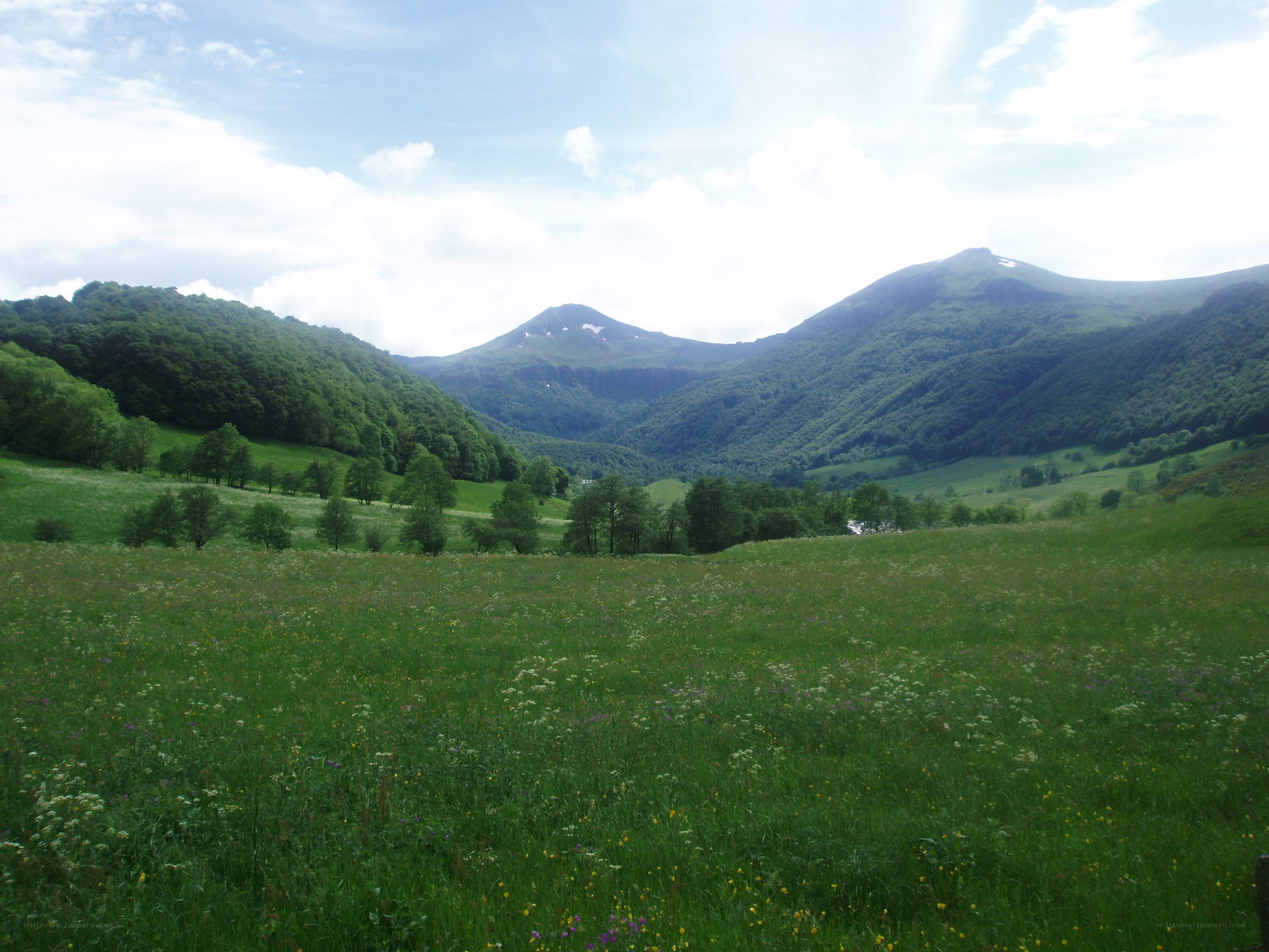 Green valley with mountains