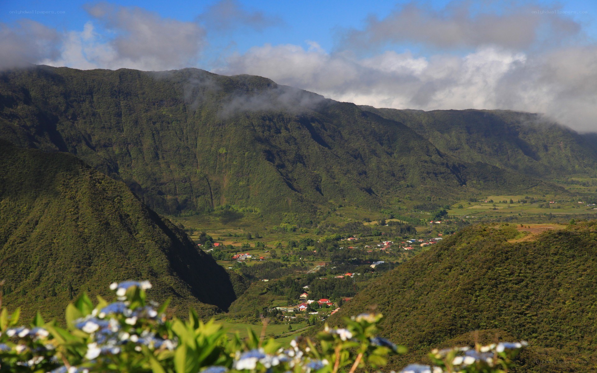Green valley with mountains
