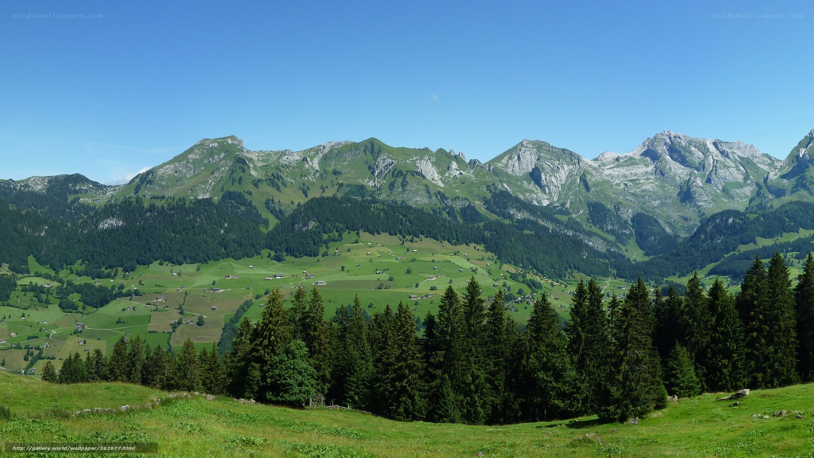 Green valley with mountains