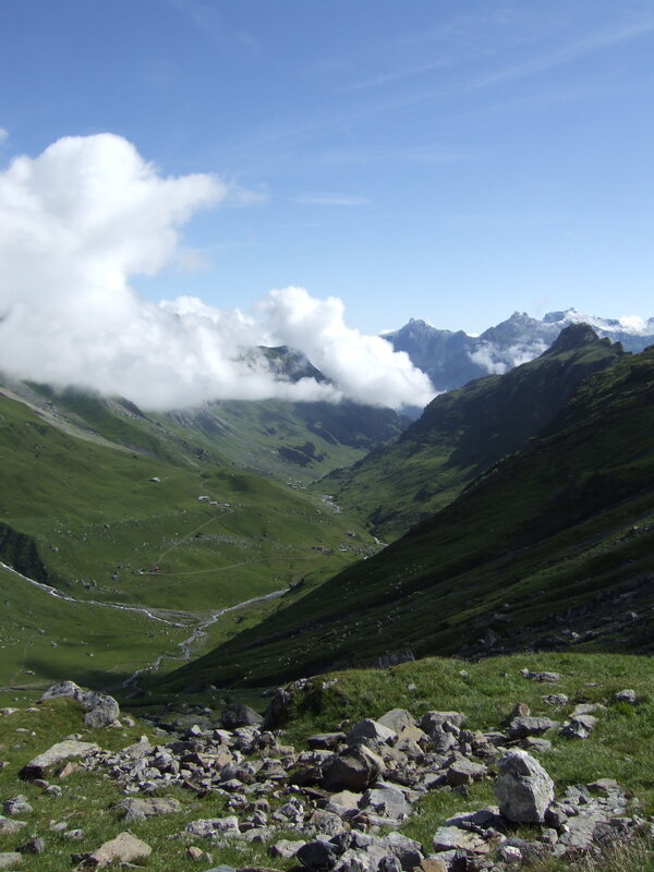 Green valley with mountains