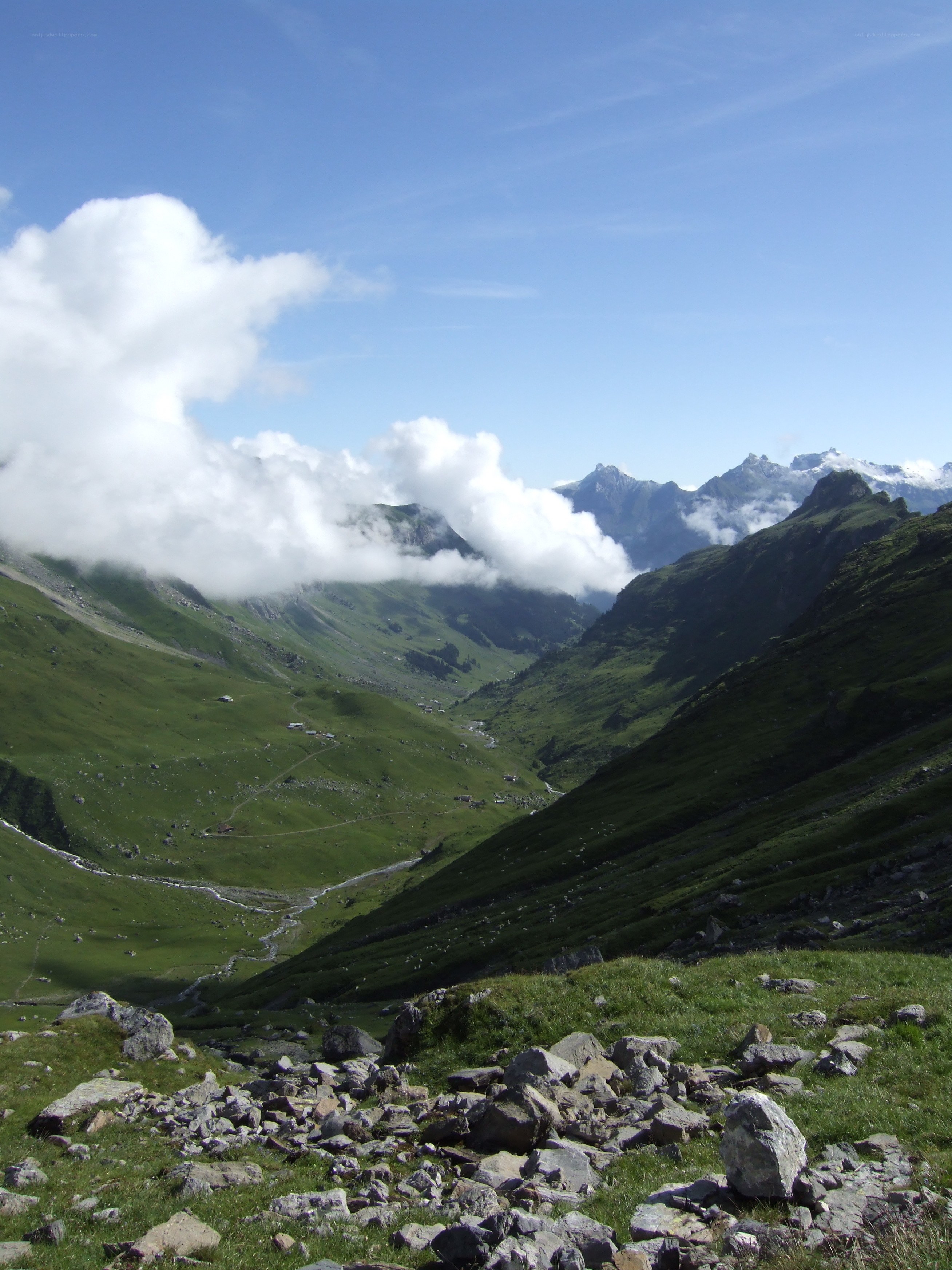 Green valley with mountains