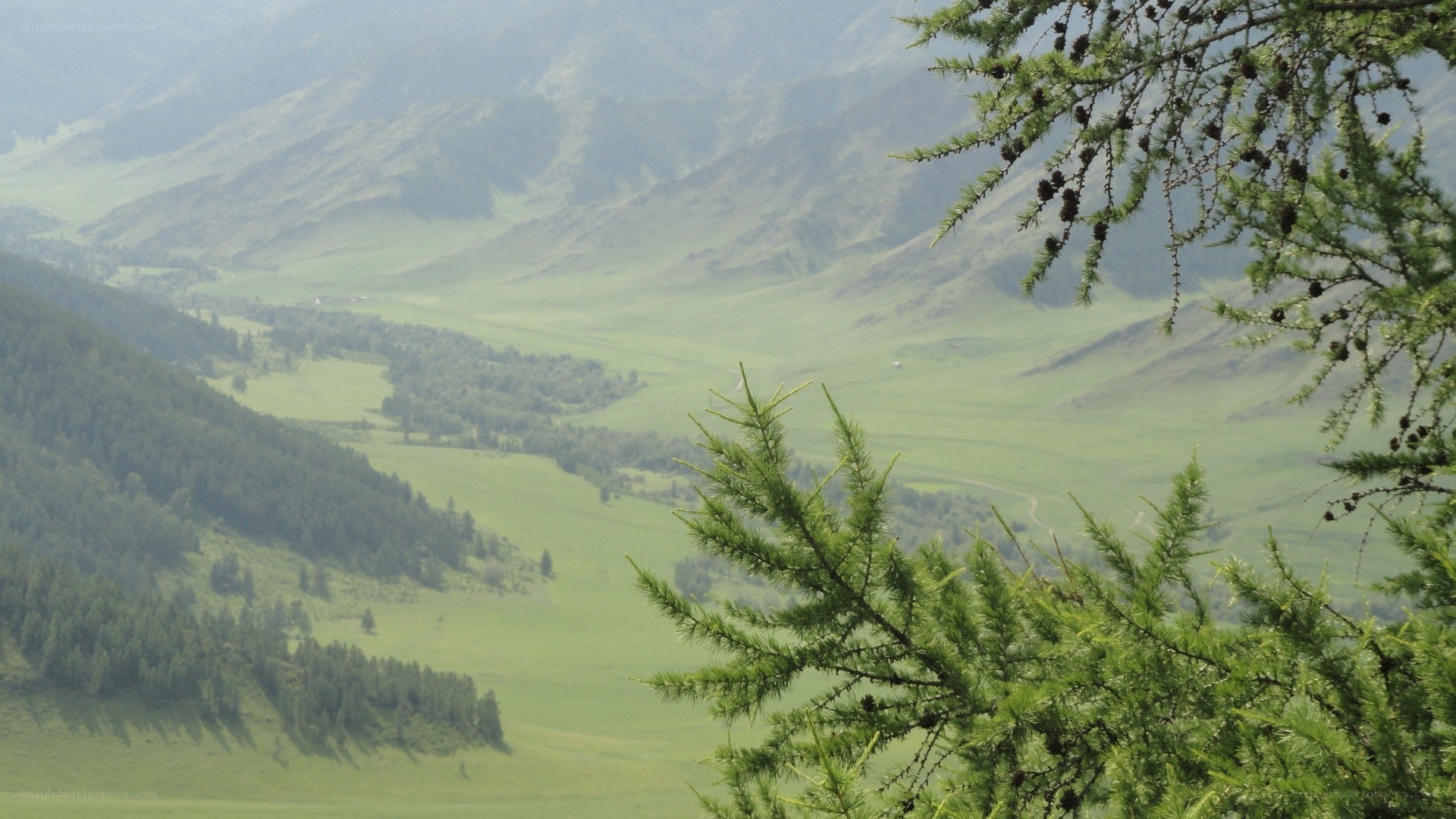 Green valley with mountains