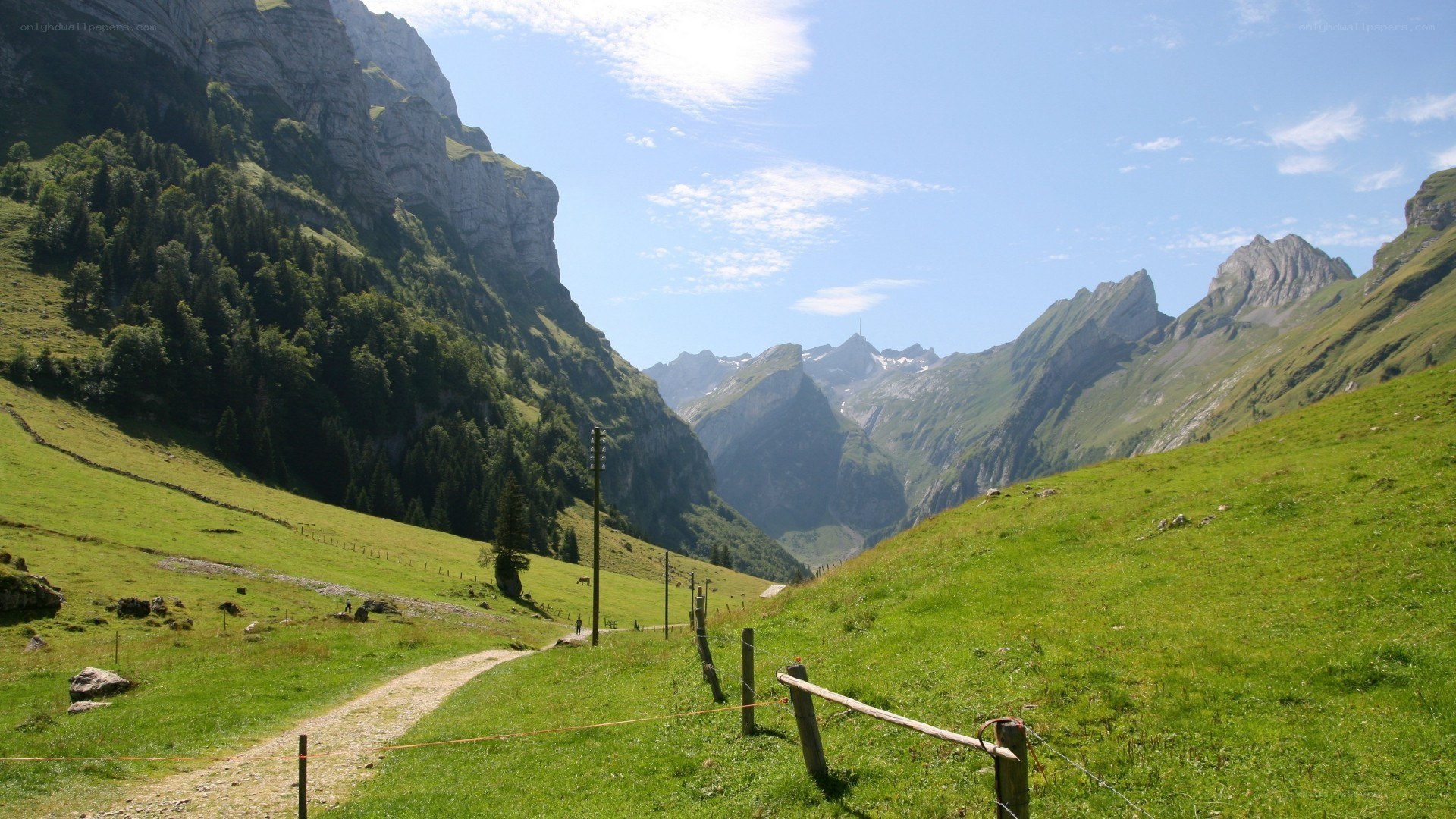 Green valley with mountains