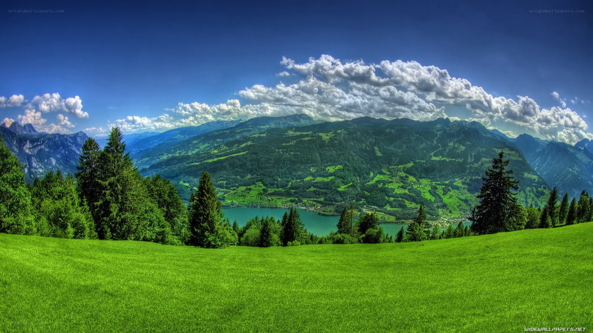 Green valley with mountains