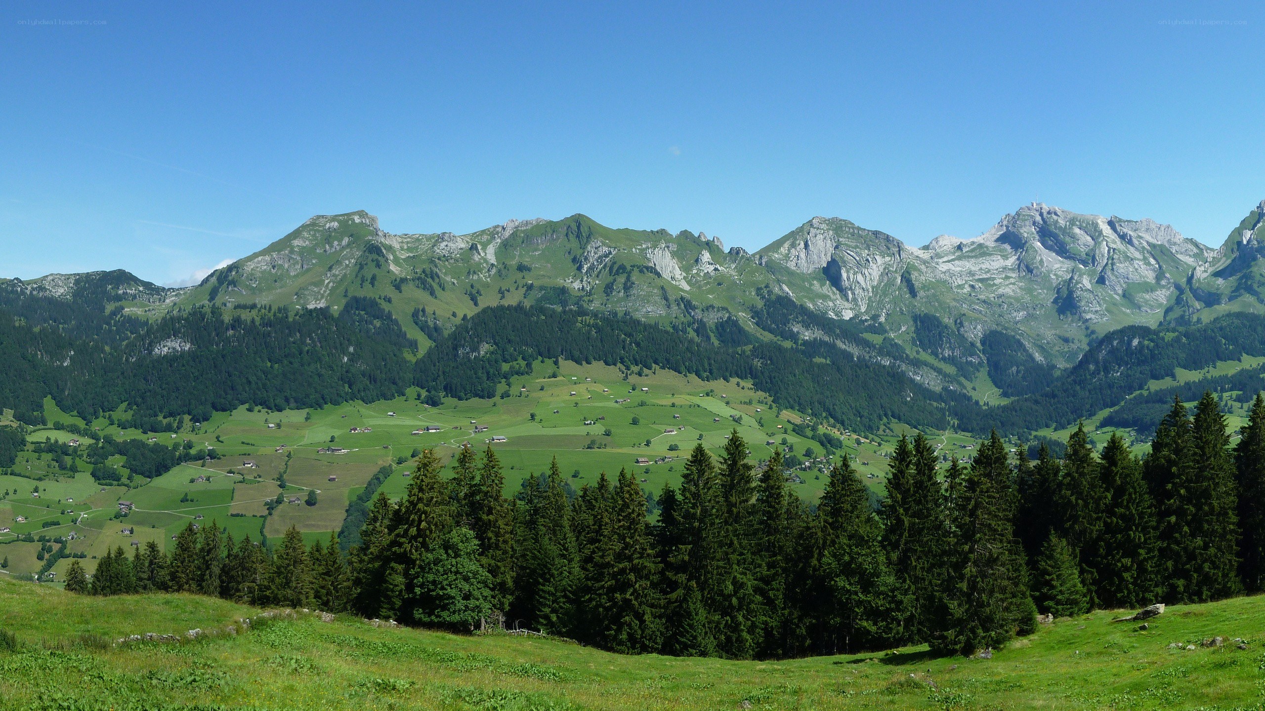 Green valley with mountains