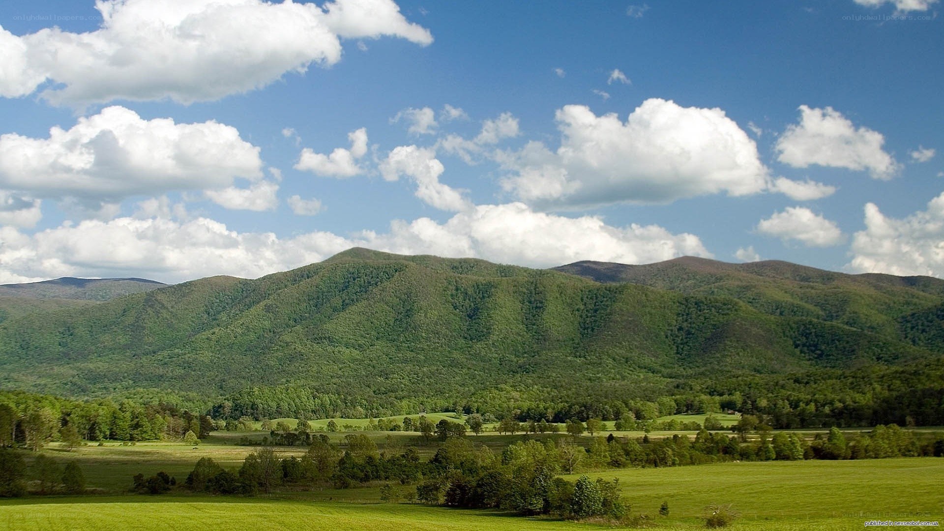 green valley with mountains