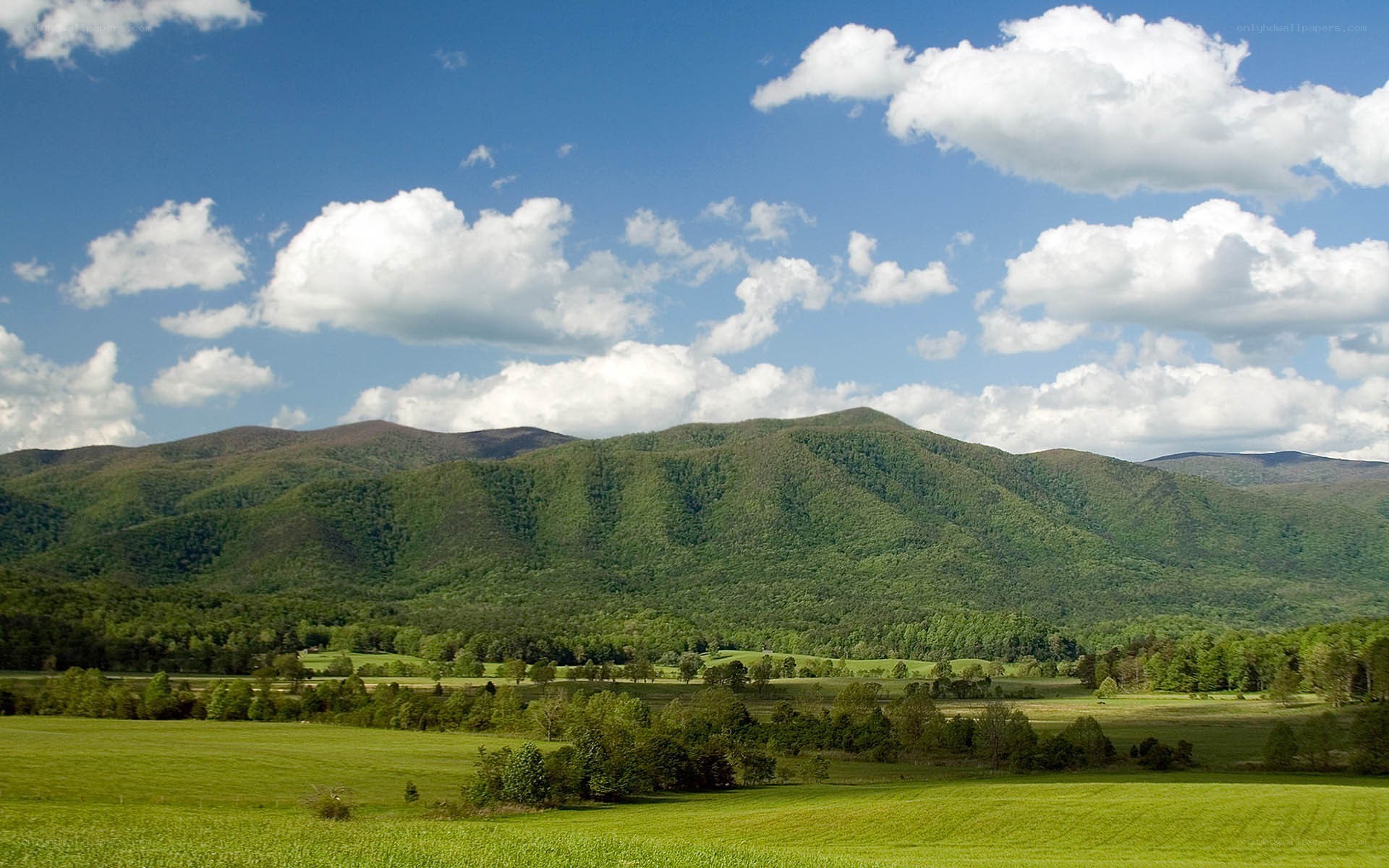 Green valley with mountains