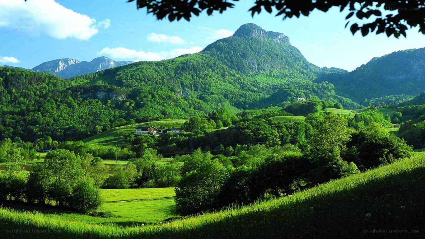 Green valley with mountains