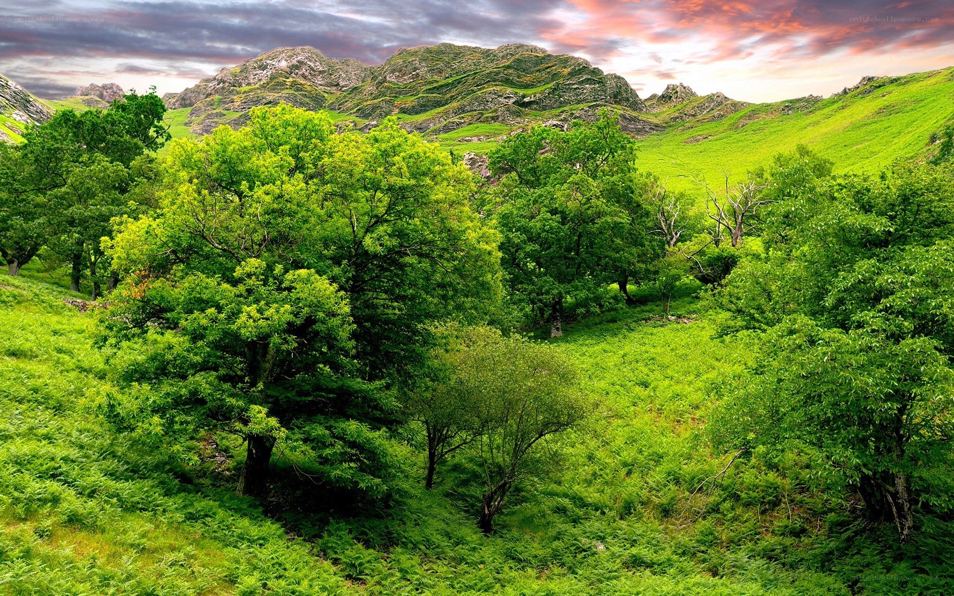 Green valley with mountains