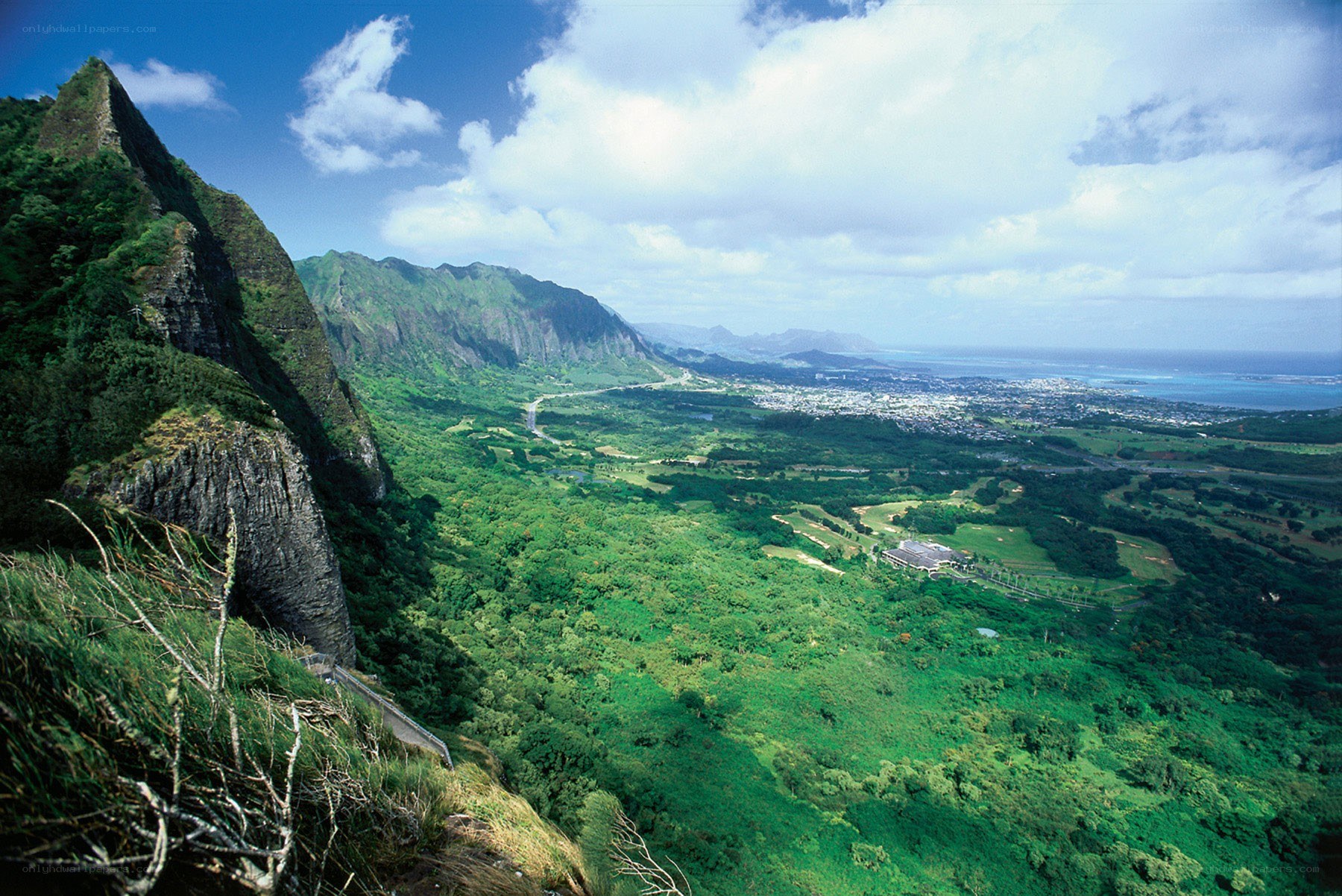 green valley with mountains