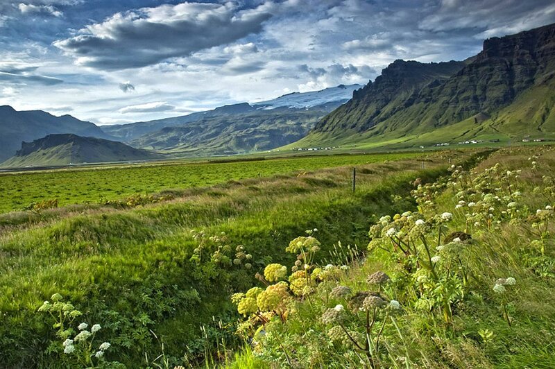 Green valley with mountains