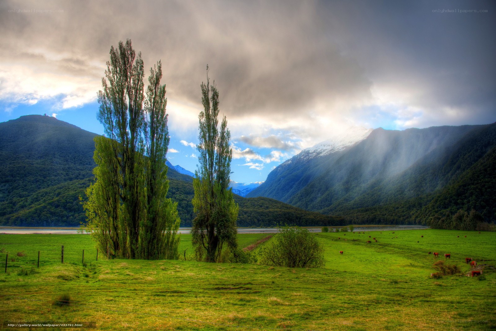Green valley with mountains