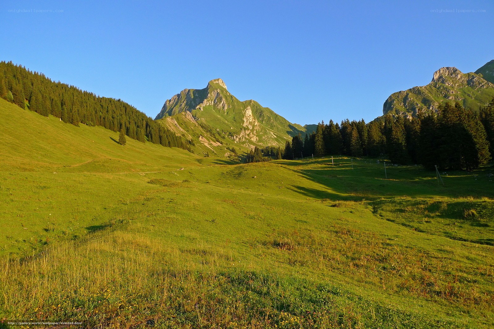 Green valley with mountains