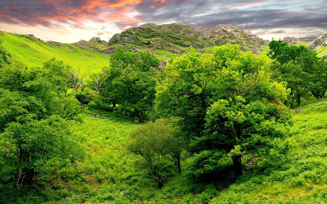 Green valley with mountains at sunset