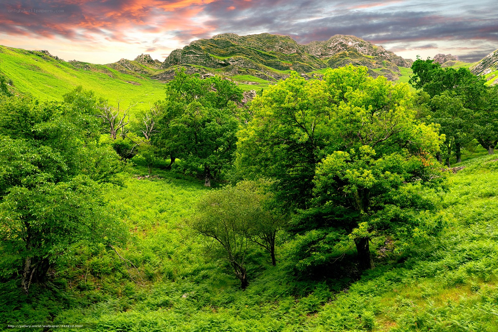 Green valley with mountains at sunset