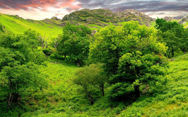 Green Valley with Mountains — Dramatic, Sunset