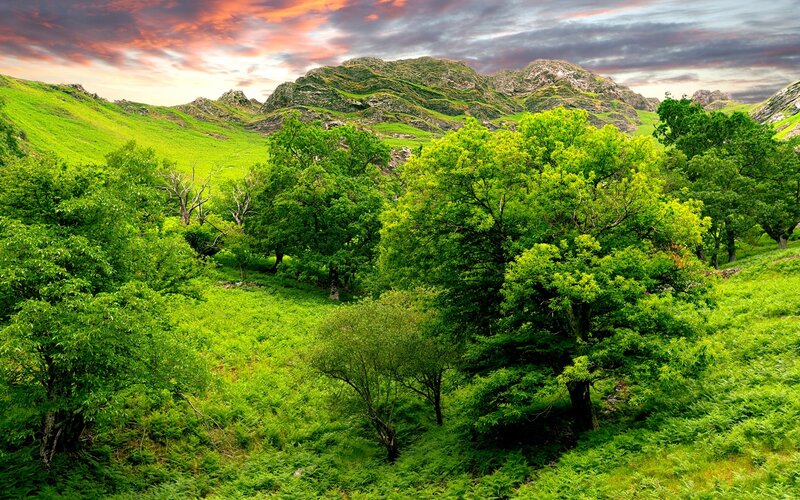 Green Valley with Mountains — Dramatic