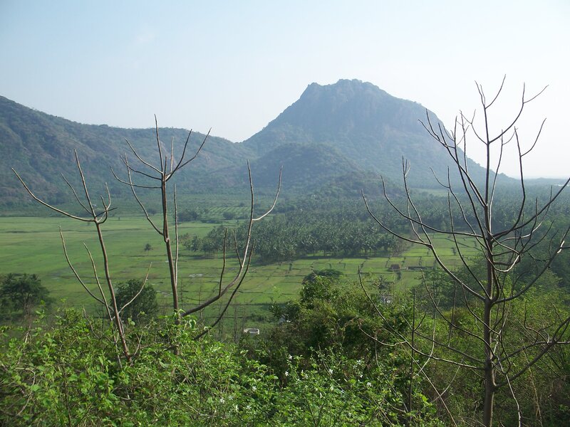Green Valley with Mountains — Serene, Afternoon, Photograph, Fields, Trees