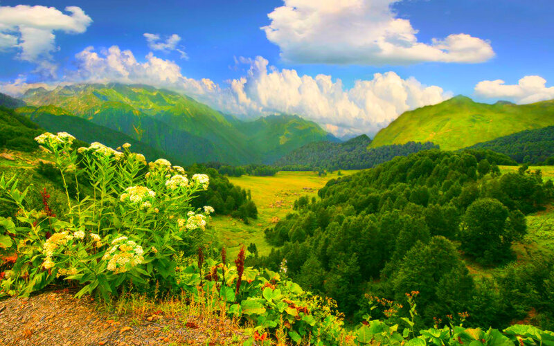 Green Valley with Mountains — Serene, Afternoon, Photograph, Trees, Flowers