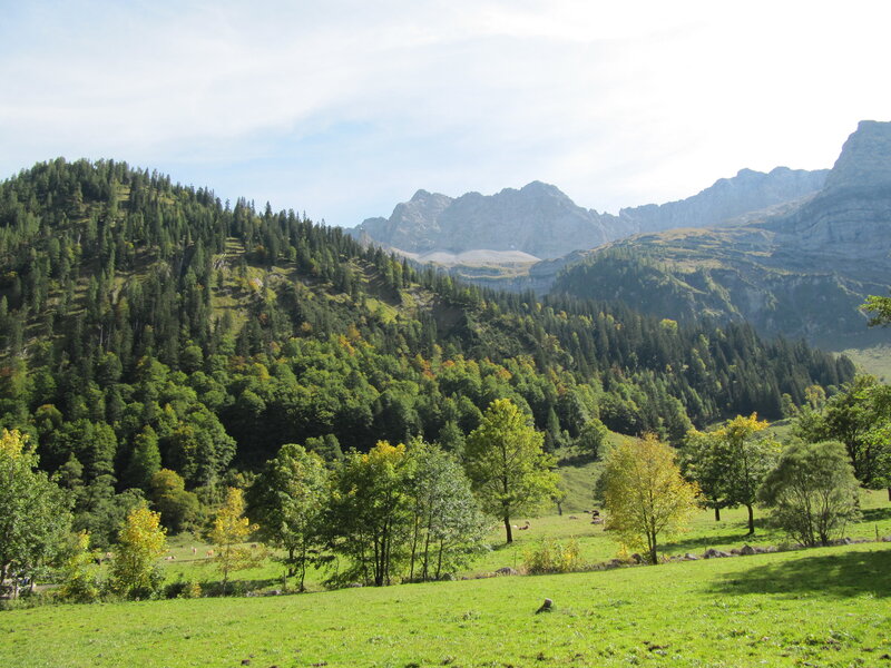 Green Valley with Mountains — Serene