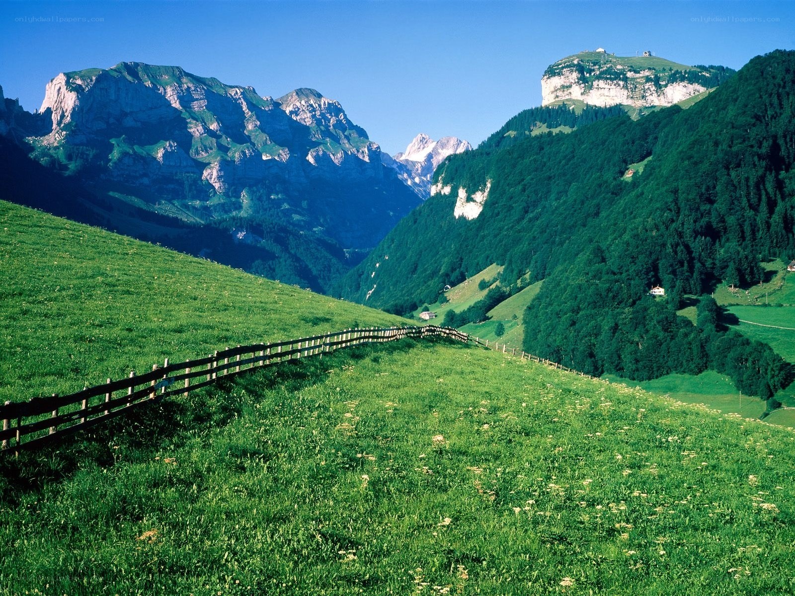 Green valley with mountains