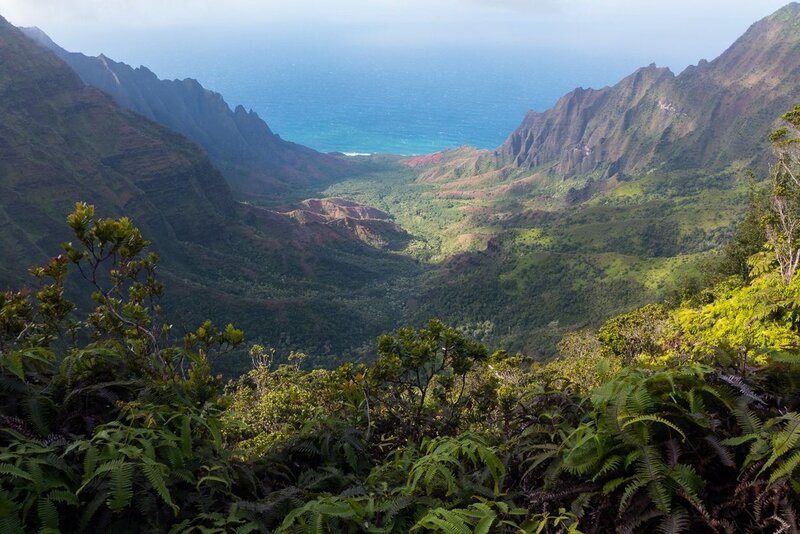 Green Valley with Ocean — Serene, Afternoon