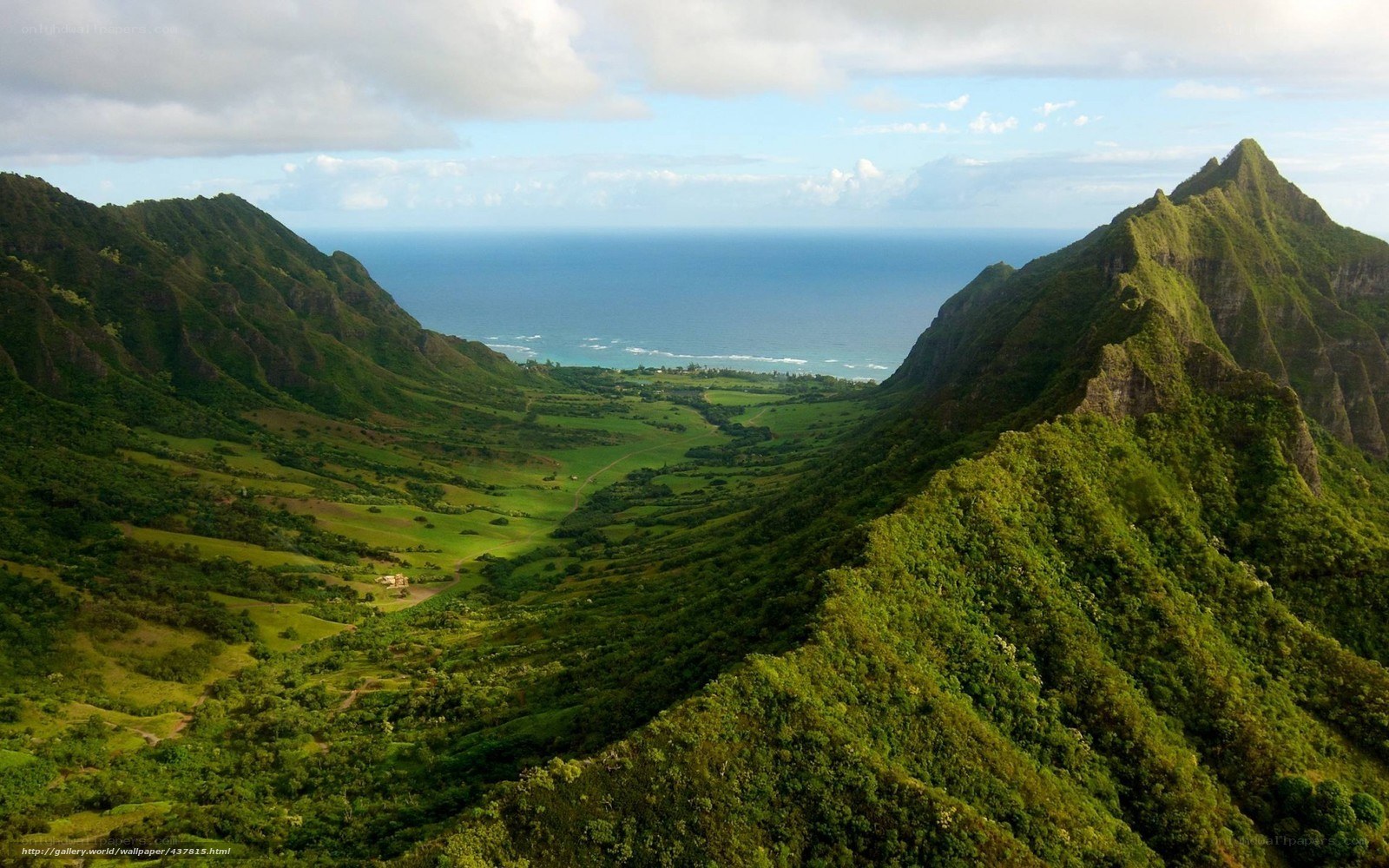 green valley with ocean view