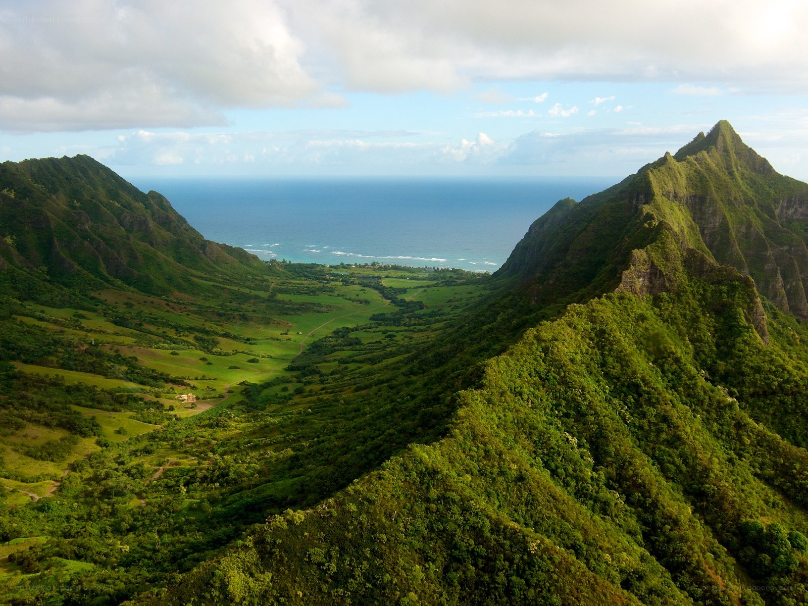 Green valley with ocean view