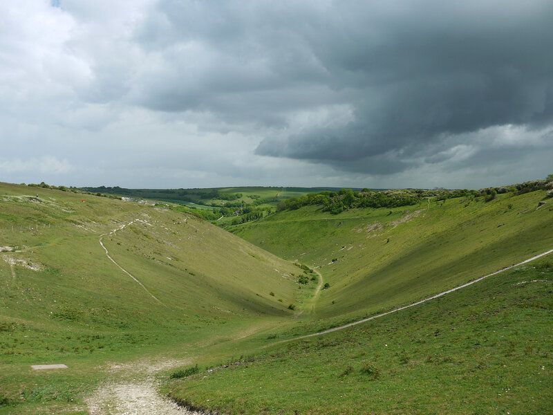 Green Valley with Paths