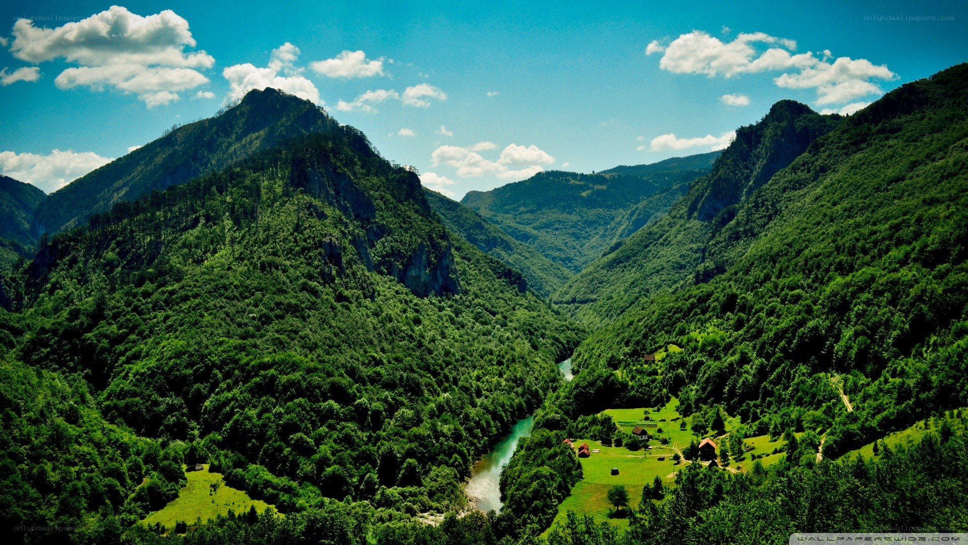 Green valley with river and mountains