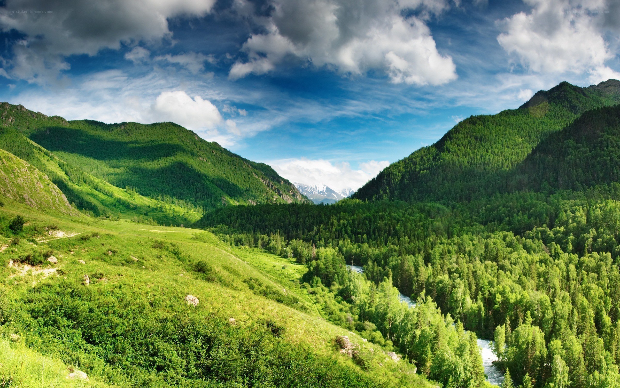 Green valley with river and mountains