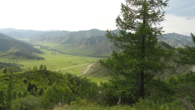 Green Valley with Road — Serene, Afternoon