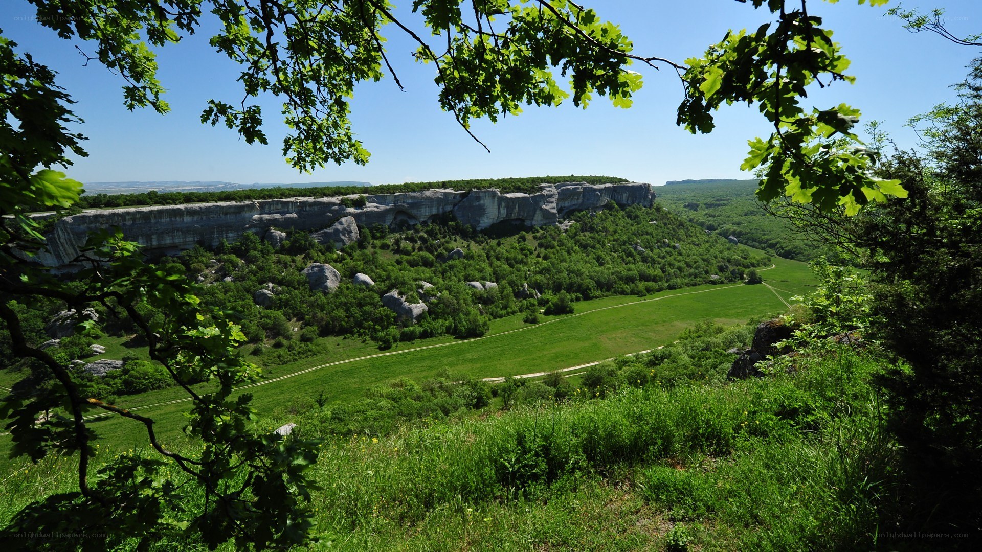Green valley with rocky cliff