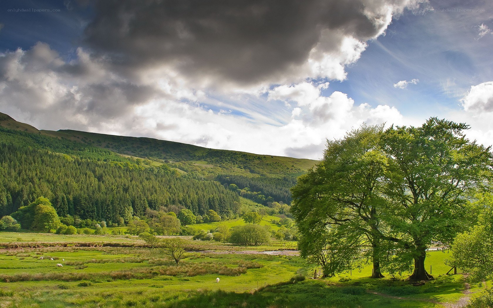 Green valley with rolling hills