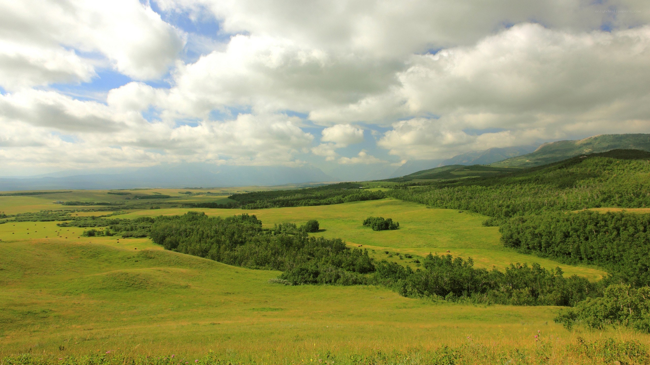 Green valley with rolling hills