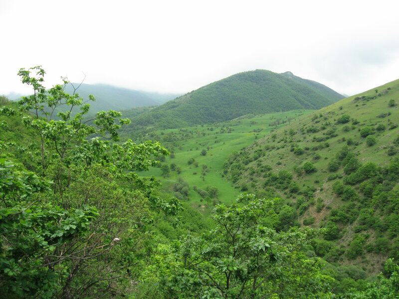 Green valley with rolling hills