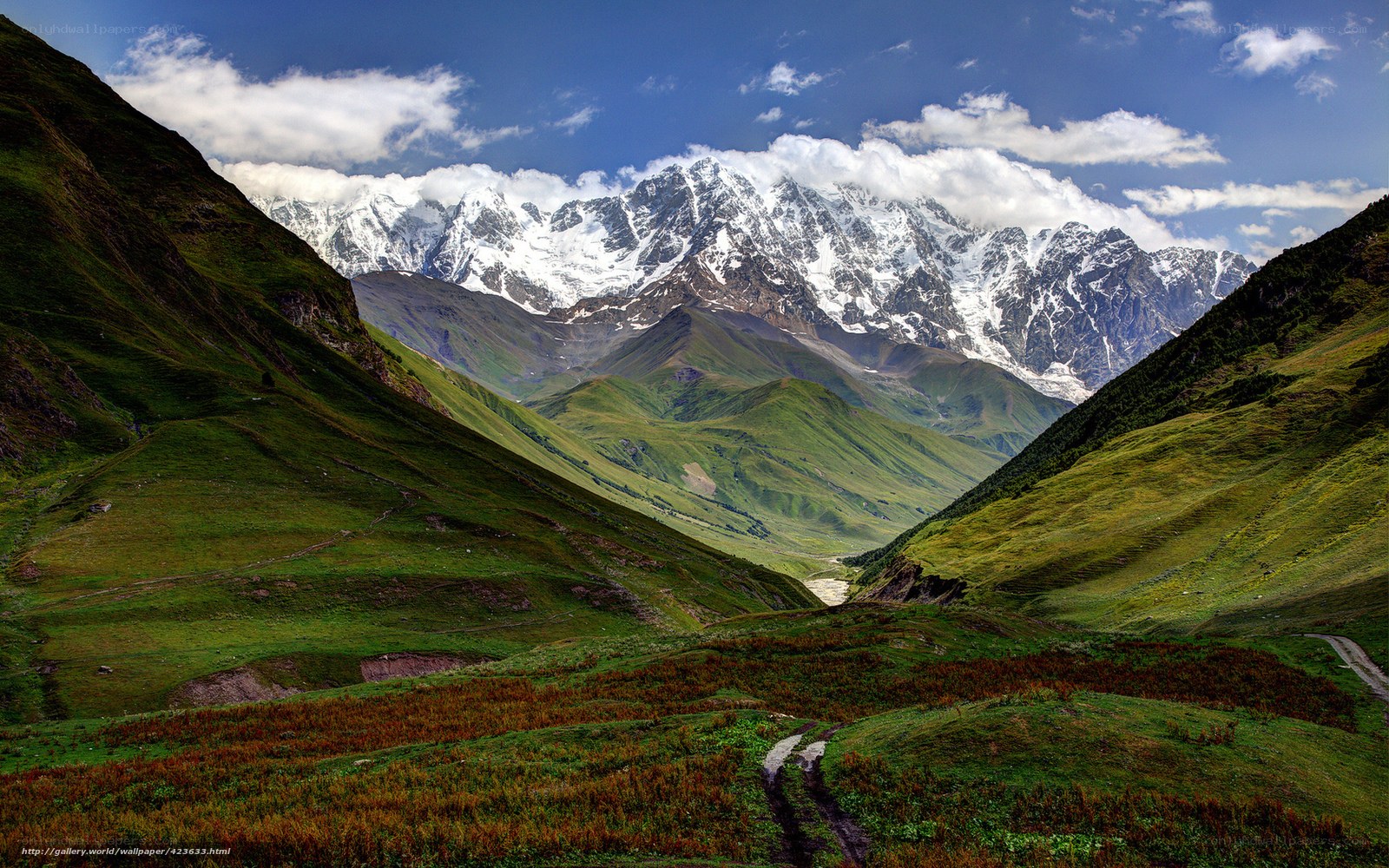 Green valley with snow-capped mountains