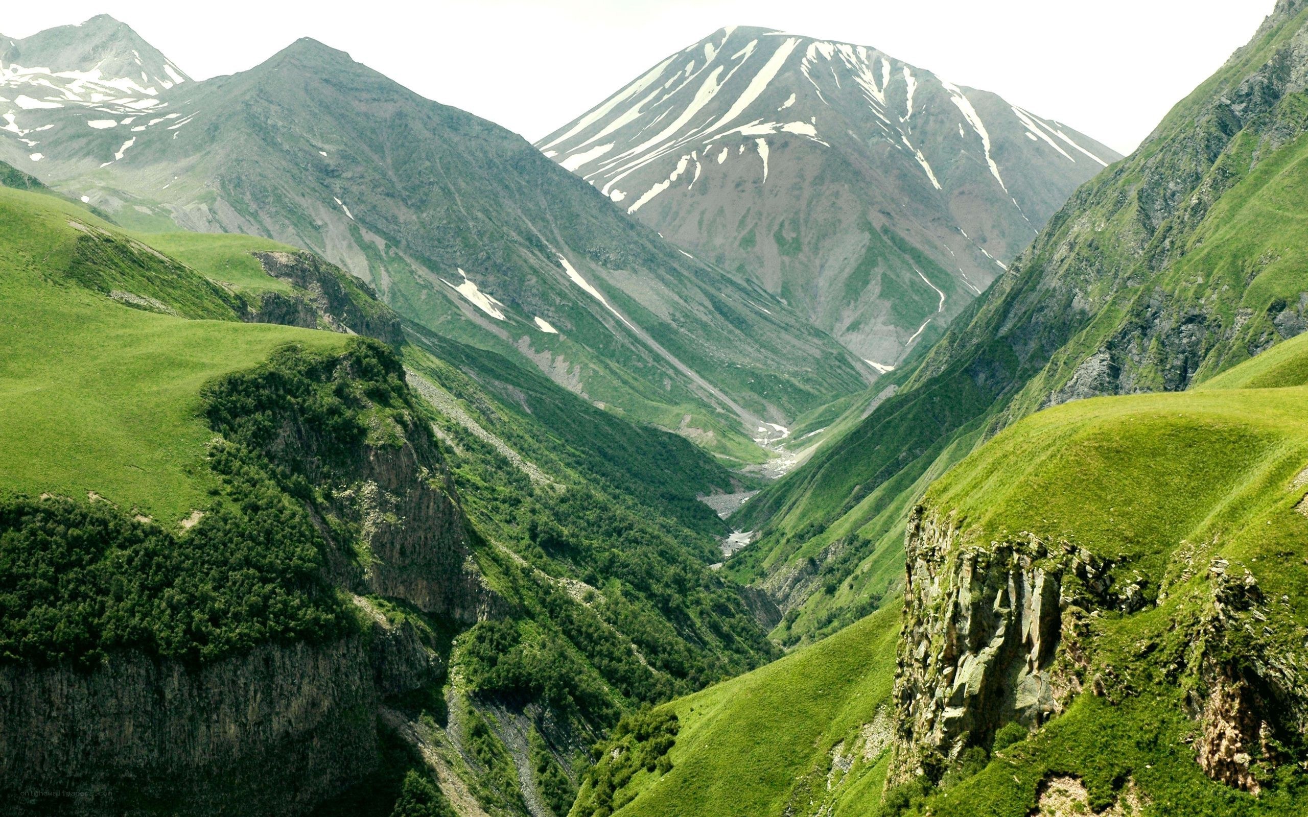 Green valley with snow-capped mountains