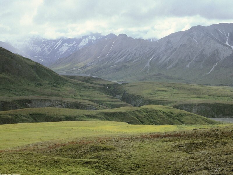Green valley with snow-capped mountains