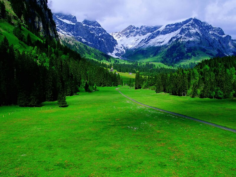 Green valley with snow-capped mountains