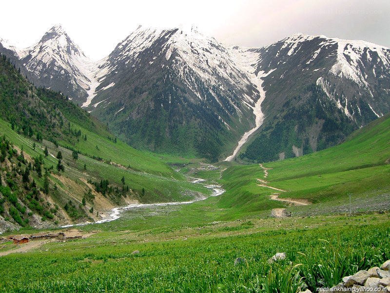 green valley with snow-capped mountains