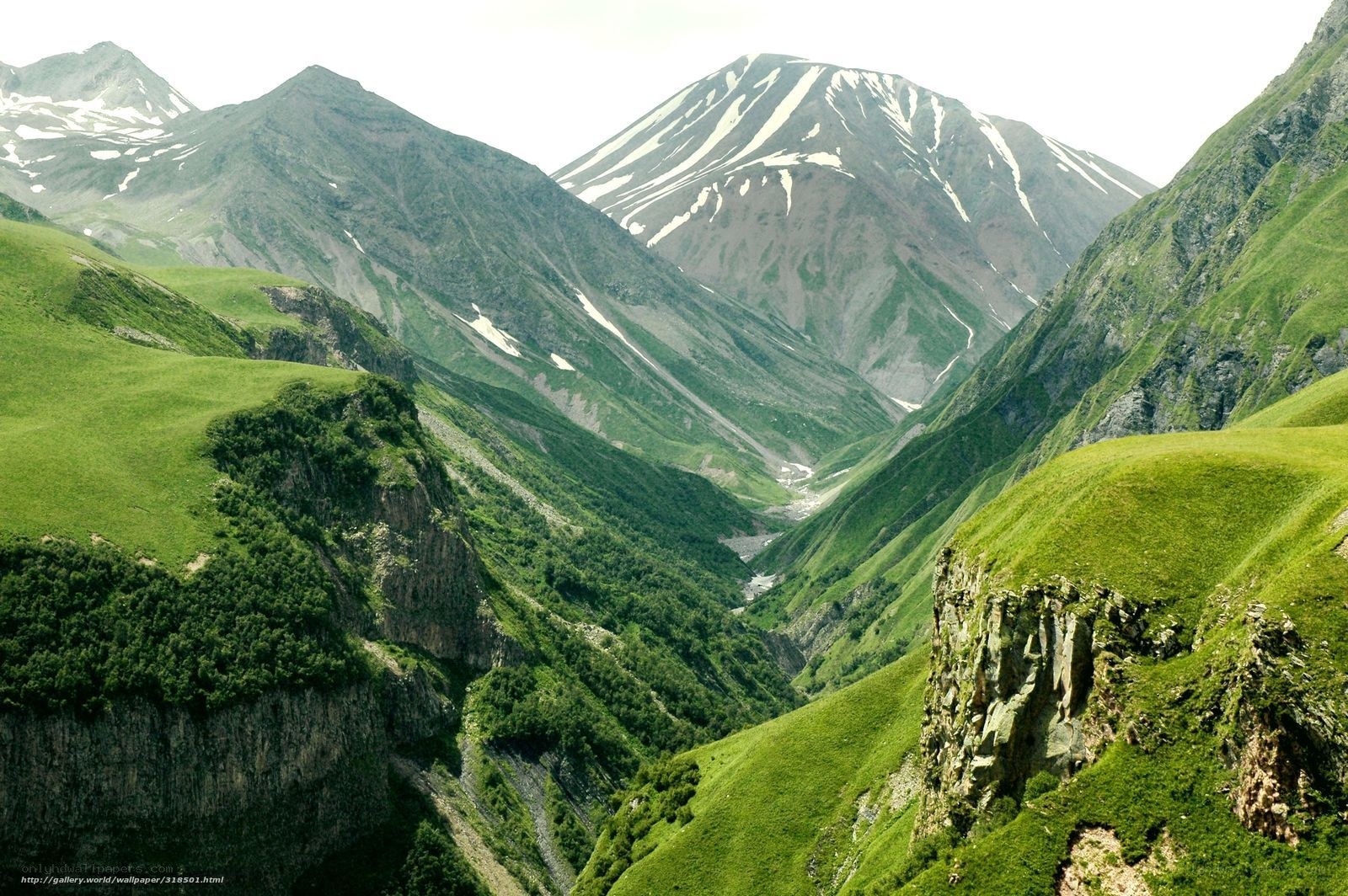 Green valley with snow-capped mountains