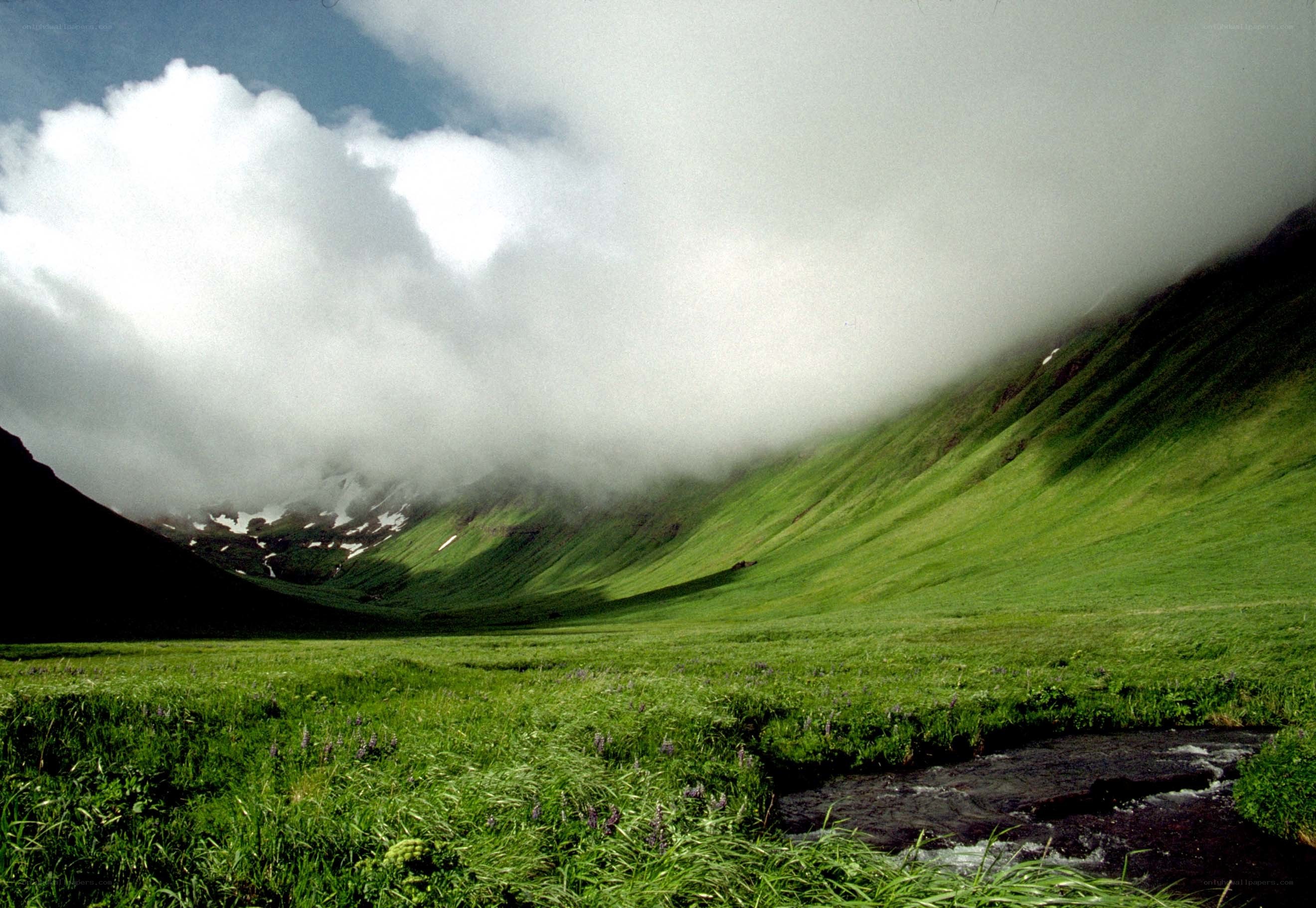 Green valley with stream and clouds