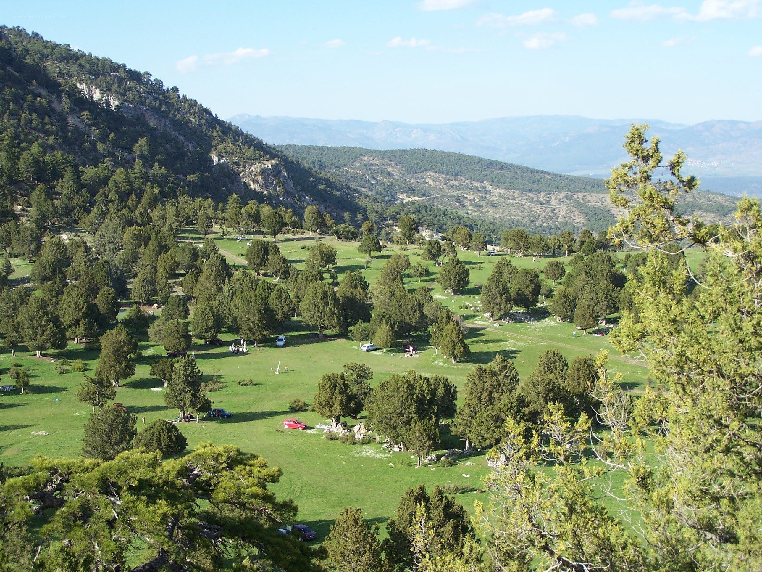 Green valley with trees and mountains