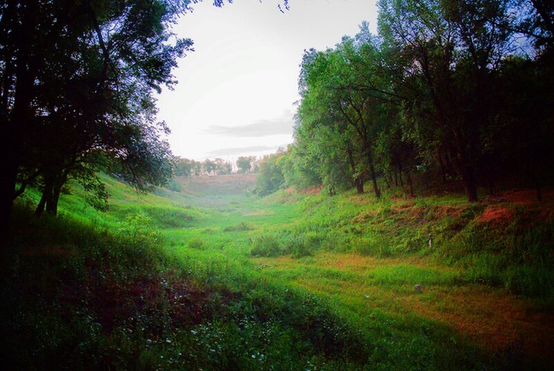 Green Valley with Trees — Serene, Afternoon